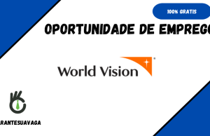 World Vision-Moçambique Abre (03) Vagas de Emprego em Diversas áreas