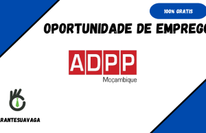 ADPP Moçambique esta a Recrutar (03) Candidatos Em Diversas Áreas