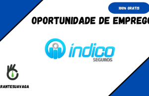 Índico Seguros está a Recrutar novo Pessoal