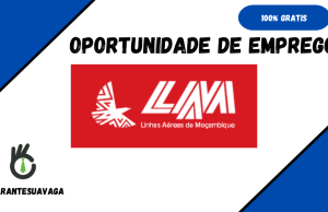 Recrutamanento Espontânea na LAM – 2024