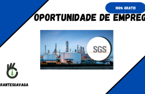 SGS Moçambique Abre (27) Vagas de EMPREGO – Diversas Posições